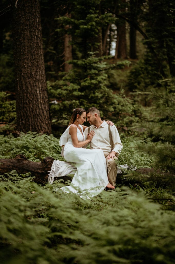 Couple sitting on a log surrounded by lush green ferns in northern Arizona