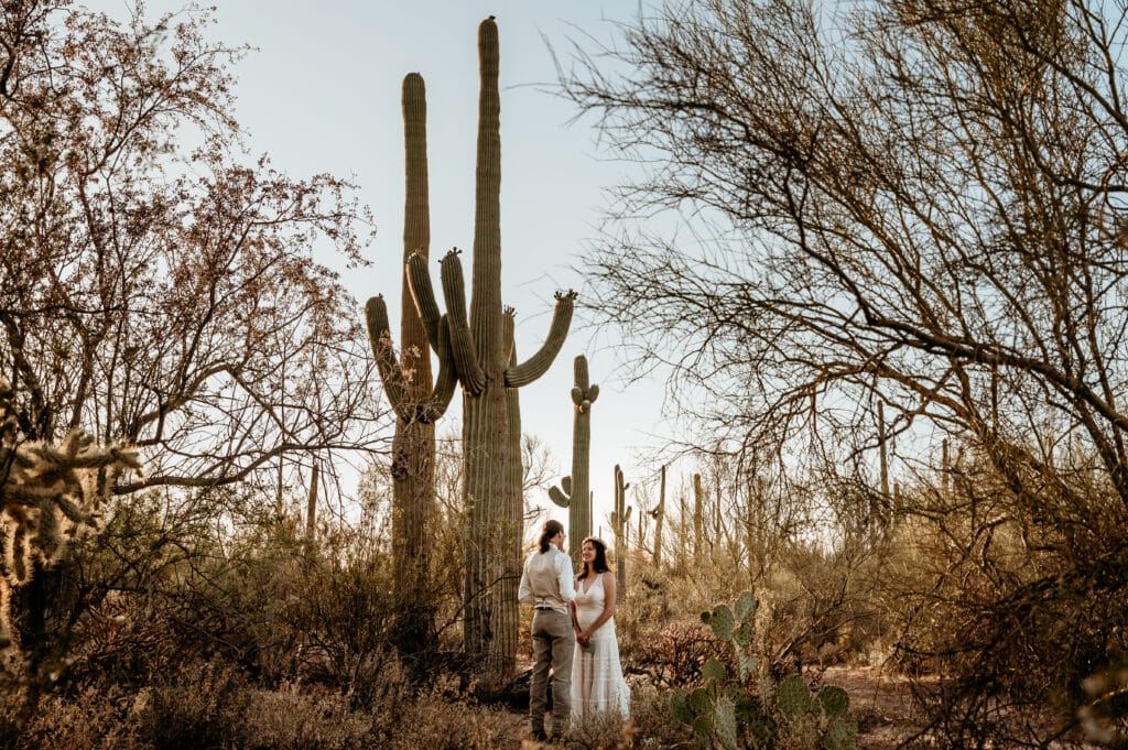 Couple saying their vows surrounded by giant saguaro cactus outside Tucson, Arizona
