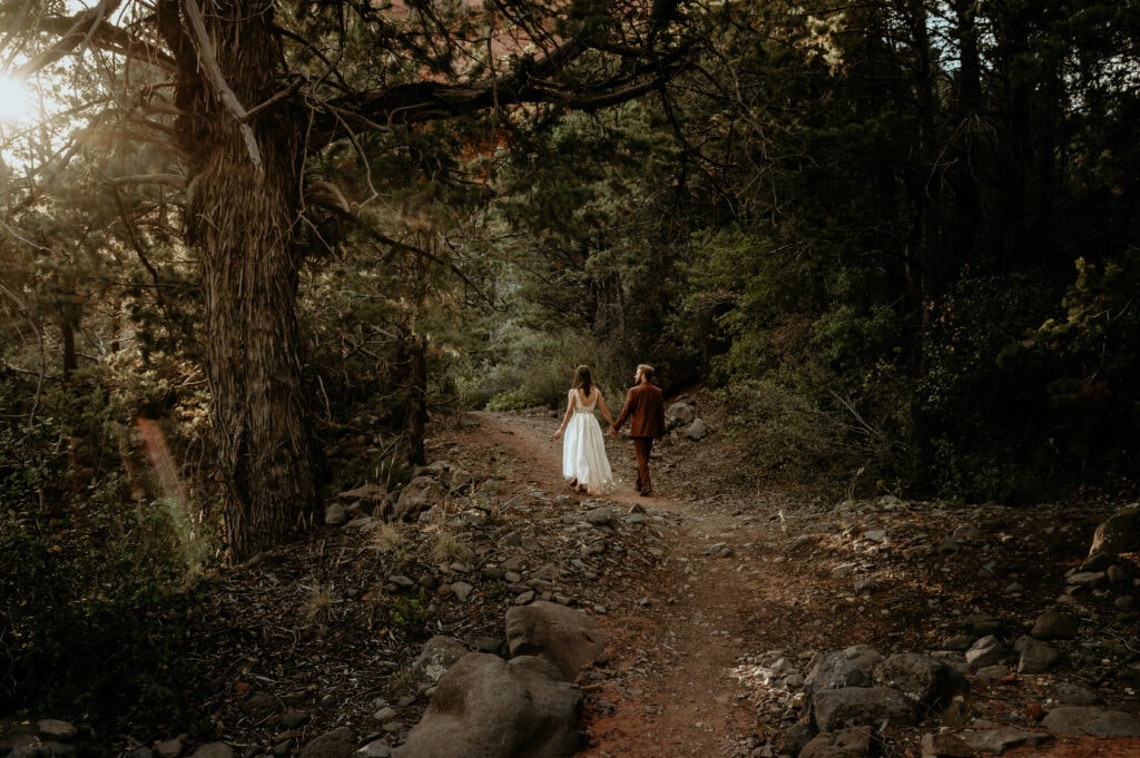 wedding couple walking hand in hand through towering evergreens during their elopement