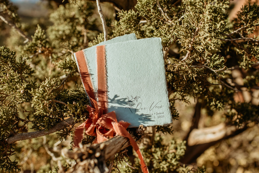 Baby blue vow books 