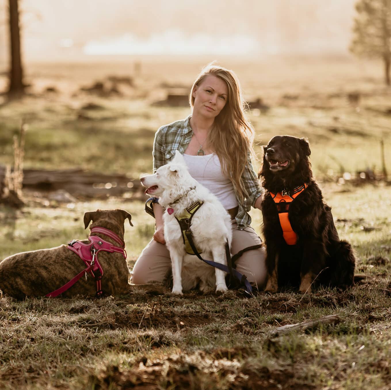 Shannon Durazo- owner of Stratus Adventure Photography with her 3 rescue dogs in the forest